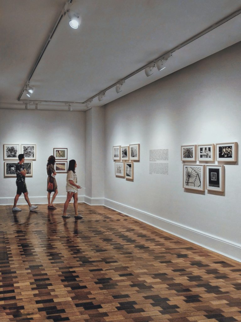 manhadedomingo  jovens no museu coisas legais para fazer