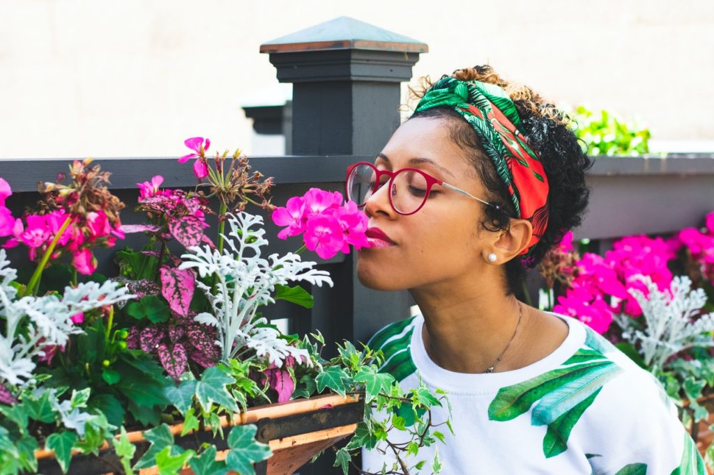 manhadedomingo cheirando as flores coisas legais para fazer