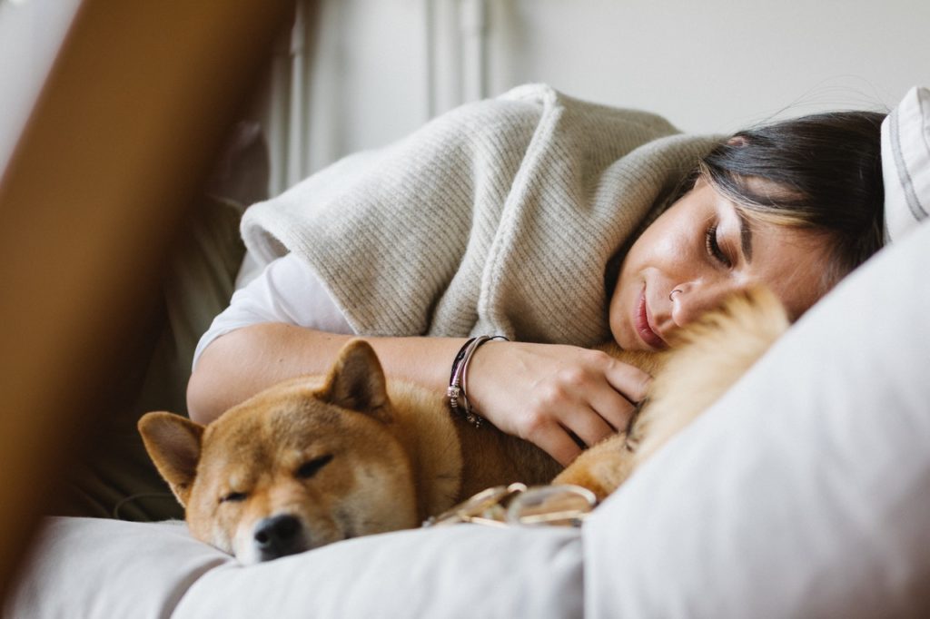 manhadedomingo dormindo com o cachorro na cama simplicidade 