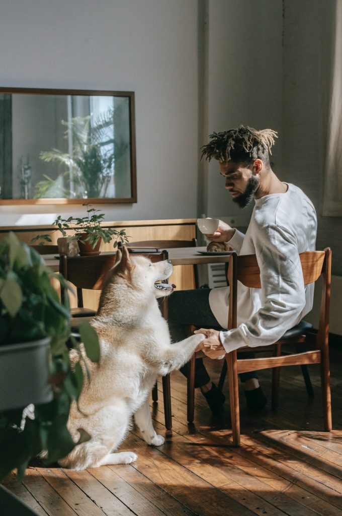 manhadedomingo tomando café com cachorro simplicidade 