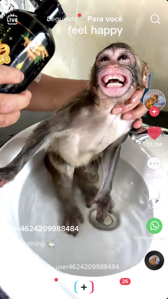 manhã de domingo o que fazer no celular tiktok